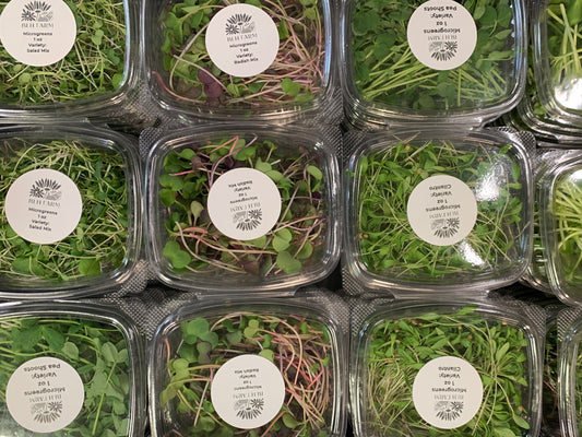 Tray of assorted BLH Farm USDA Organic microgreen varieties