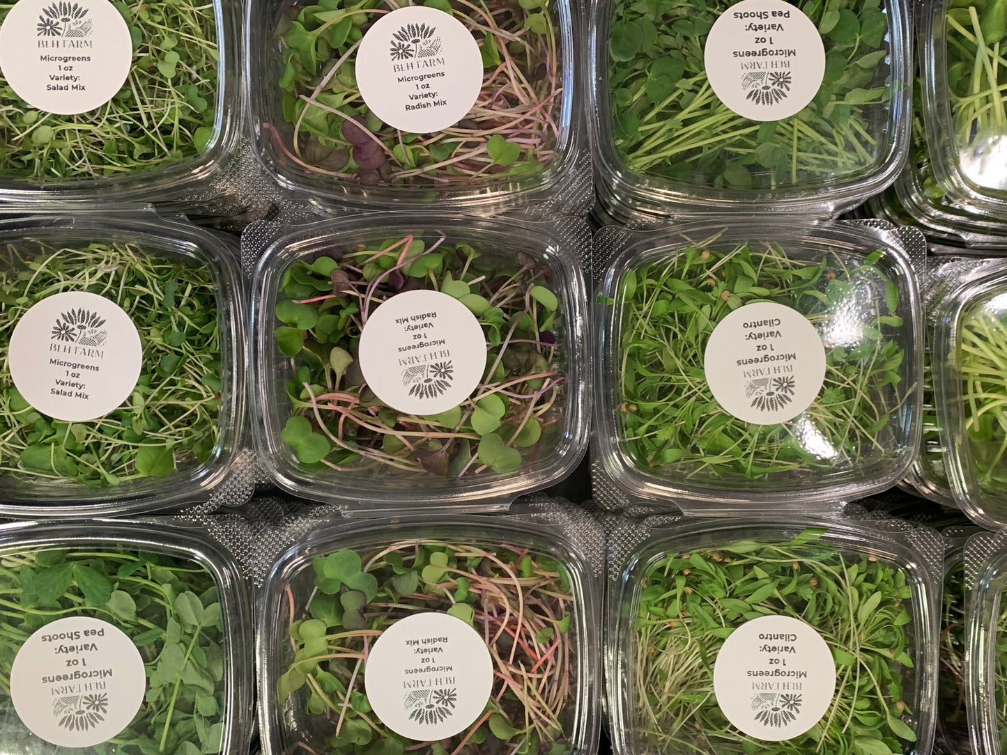 Microgreens tray