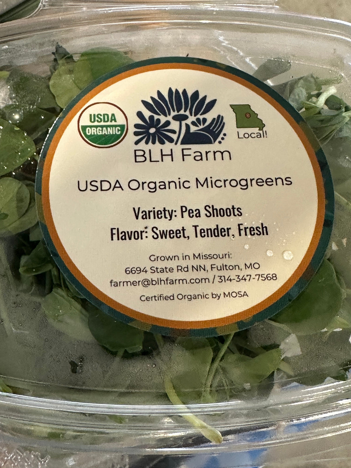BLH Farm USDA Organic Pea Shoots microgreens container