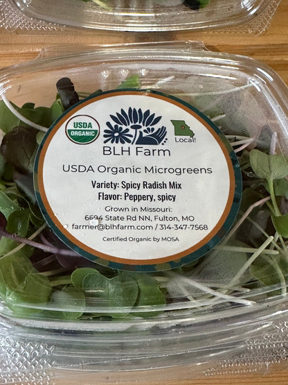 BLH Farm USDA Organic Spicy Radish Mix microgreens container