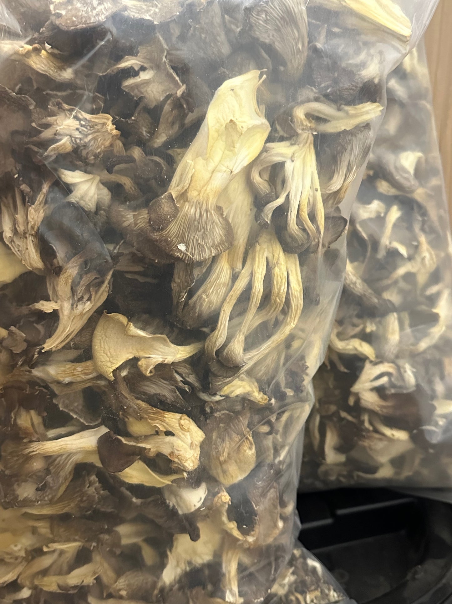 Dried oyster mushrooms