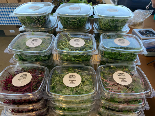 Fresh organic microgreens