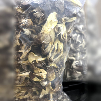Bag of dried oyster mushrooms