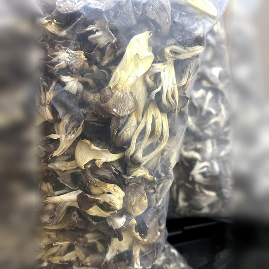 Bag of dried oyster mushrooms